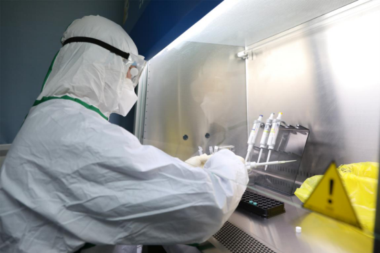 �¹ڷ��ײ�������z�y